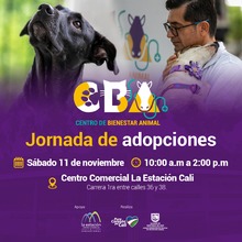 Jornada de adopciones 11 de noviembre 2023  