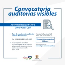 Foro de Auditorias Visibles 