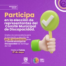 Participa elecci&oacute;n comit&eacute; municipal de discapacidad