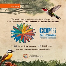 Socializaci&oacute;n para ser parte de la agenda cultural del circuito de la Biodiversidad COP16