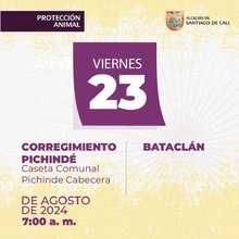 Jornada de esterilizaci&oacute;n Corregimiento Pichinde