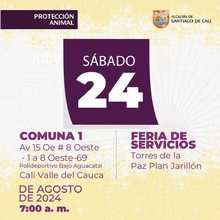 Jornada de esterilizaci&oacute;n Comuna 1