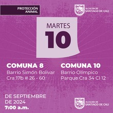 Jornadas de Esterilizaci&oacute;n  10/09/2024