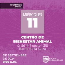 Jornadas de Esterilizaci&oacute;n  11/09/2024