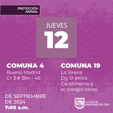 Jornadas de Esterilizaci&oacute;n  12/09/2024