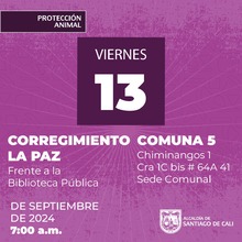 Jornadas de Esterilizaci&oacute;n  13/09/2024