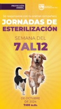 Jornadas de esterilizacion del 7 al 12 de octubre de 2024