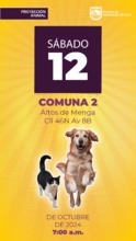 Jornada de Estetizaci&oacute;n - s&aacute;bado 12 de octubre Comuna 2 Altos de Menga Calle 46N Avenida 8B