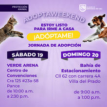 Jornada de adopci&oacute;n 19 - 20 de octubre de 2024 