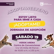 Jornada de adopci&oacute;n 19 de octubre de 2024 