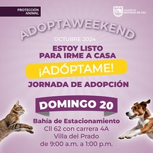 Jornada de adopci&oacute;n 20 de octubre de 2024 