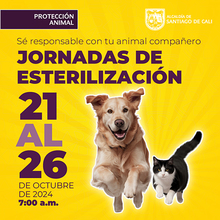 Jornadas de Esterilizaci&oacute;n 21 - 26 de octubre de  2024