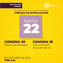 Jornadas de Esterilizaci&oacute;n 22 de octubre de  2024