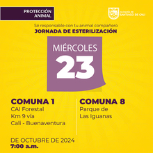 Jornadas de Esterilizaci&oacute;n 23 de octubre de  2024
