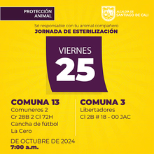 Jornadas de Esterilizaci&oacute;n 25 de octubre de  2024
