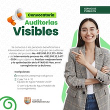 Convocatoria de Auditor&iacute;as Visibles