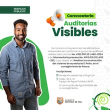 Convocatoria de Auditorias visibles