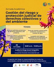 Gesti&oacute;n del riesgo y protecci&oacute;n judicial de derechos colectivos y del ambiente