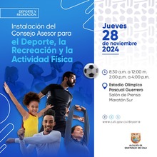 Elecci&oacute;n e instalaci&oacute;n del Consejo Asesor para el Deporte, la Recreaci&oacute;n y la Actividad F&iacute;sica de Santiago de Cali