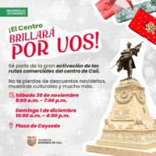 &iexcl;El Centro Brillar&aacute; por Vos!