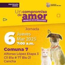 Jornada de estilizaci&oacute;n - Comuna 7 - Cancha - Alfonso L&oacute;pez Etapa 3 - Cl.81a # 7T Bis-21 - 06/03/2025.