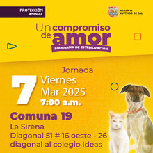 Jornada de estilizaci&oacute;n - Comuna 19 - Diagonal 51 # 16 oeste - 26 diagonal al colegio Ideas.