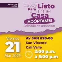 Jornada de Adopci&oacute;n
