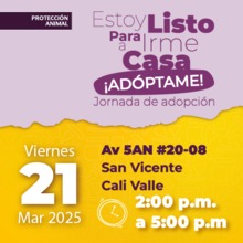 Jornada de Adopci&oacute;n 21 de marzo de 2025 - Av 5AN # 20-08 San Vicente  