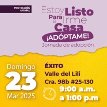 Jornada de Adopci&oacute;n 23 de marzo de 2025 - &Eacute;xito Valle del Lili Cr. 98b # 25-130 