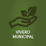 Vivero municipal