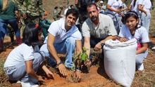 Reforestacion Yacaman1