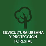 Silvicultura urbana