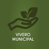 vivero