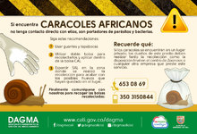 Caracol