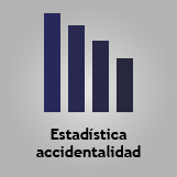 Estad&iacute;stica de Accidentalidad