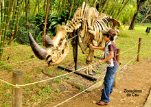 Zoologico de Cali