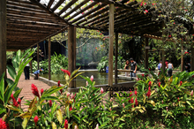 Zoologico de Cali