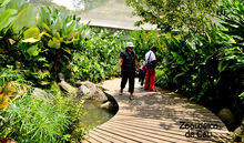 Zoologico de Cali