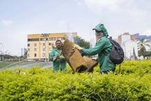 Jornada de limpieza de la Fuente de Miami 05