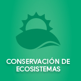Conservacion de ecosistemas