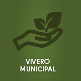 Vivero