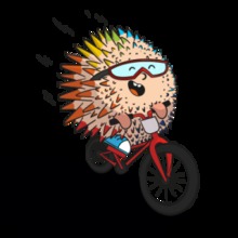 Juegos Bolivarianos 003