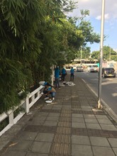 Los Gestores siguen aportando al enlucimiento de nuestra ciudad bonita