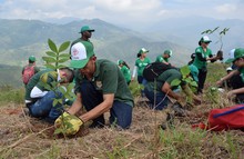 Cali cumpli&oacute; con la Siembrat&oacute;n de 2.000 &aacute;rboles en Cristo Rey