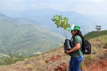Cali cumpli&oacute; con la Siembrat&oacute;n de 2.000 &aacute;rboles en Cristo Rey