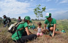 Cali cumpli&oacute; con la Siembrat&oacute;n de 2.000 &aacute;rboles en Cristo Rey
