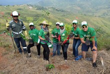 Cali cumpli&oacute; con la Siembrat&oacute;n de 2.000 &aacute;rboles en Cristo Rey