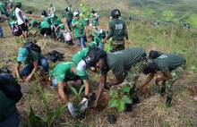 Cali cumpli&oacute; con la Siembrat&oacute;n de 2.000 &aacute;rboles en Cristo Rey