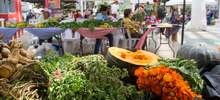 Mercado agroecol&oacute;gico con productos frescos y a precios justos