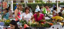 Mercado agroecol&oacute;gico con productos frescos y a precios justos